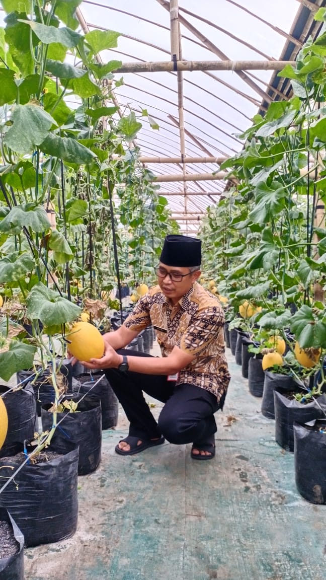 Wisata Petik Melon